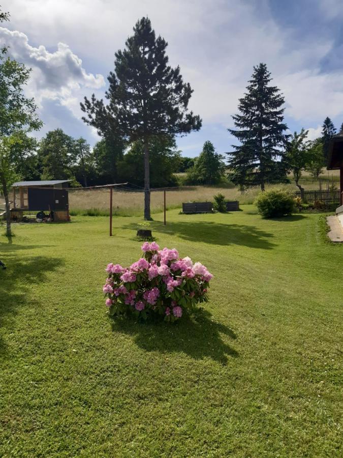 Ferienwohnung Johanna Sankt Georgen im Gailtal Bagian luar foto