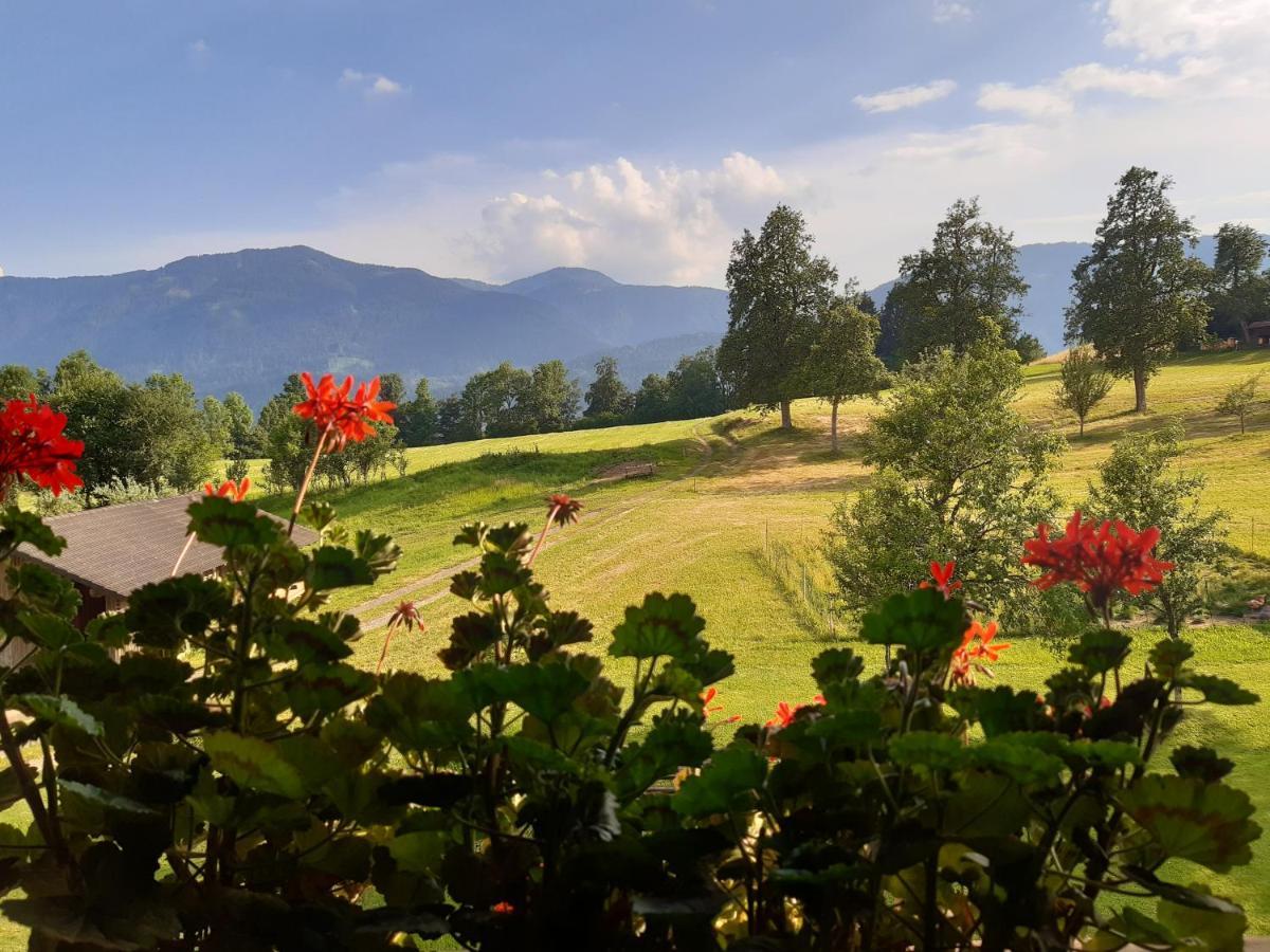 Ferienwohnung Johanna Sankt Georgen im Gailtal Bagian luar foto