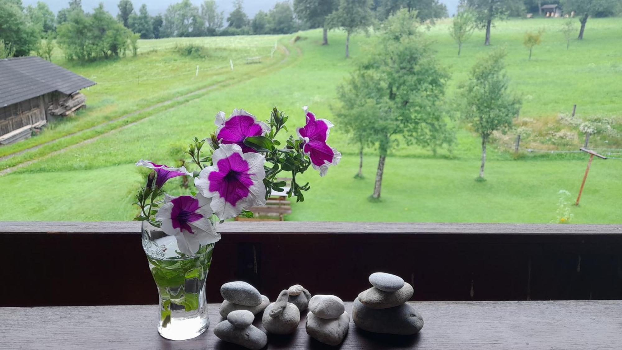 Ferienwohnung Johanna Sankt Georgen im Gailtal Bagian luar foto